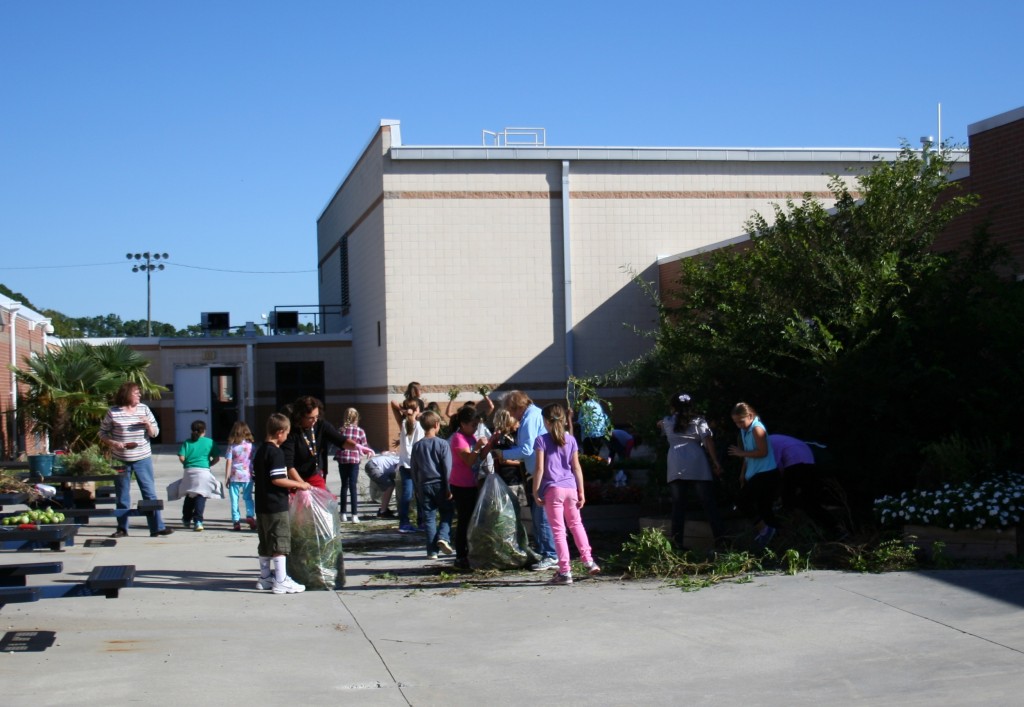 Students cleaned up the Kempsville Elementary courtyard garden to prepare it for the winter months.