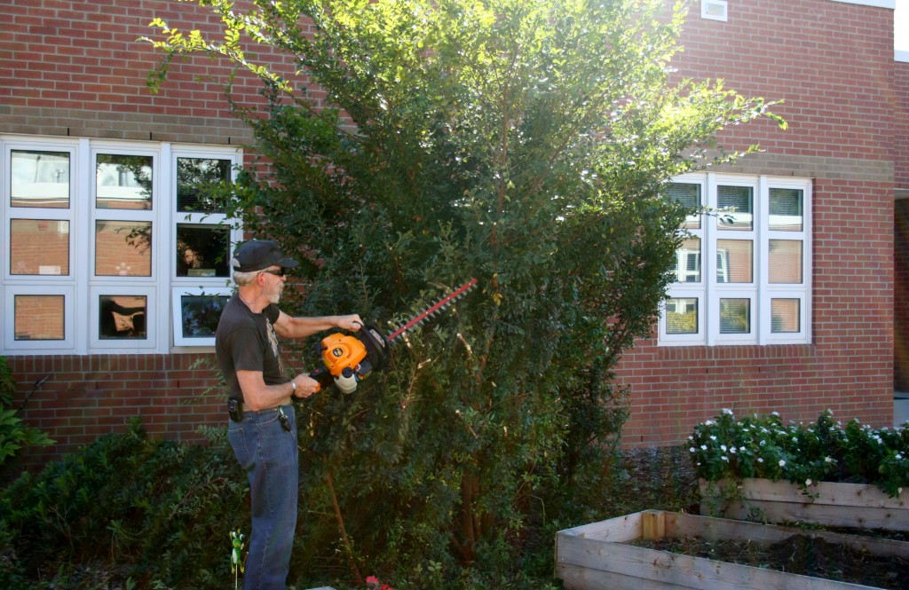 A Kempsville volunteer gives one of the courtyard trees a much needed trimming, providing the plants in the garden boxes with more sunlight.