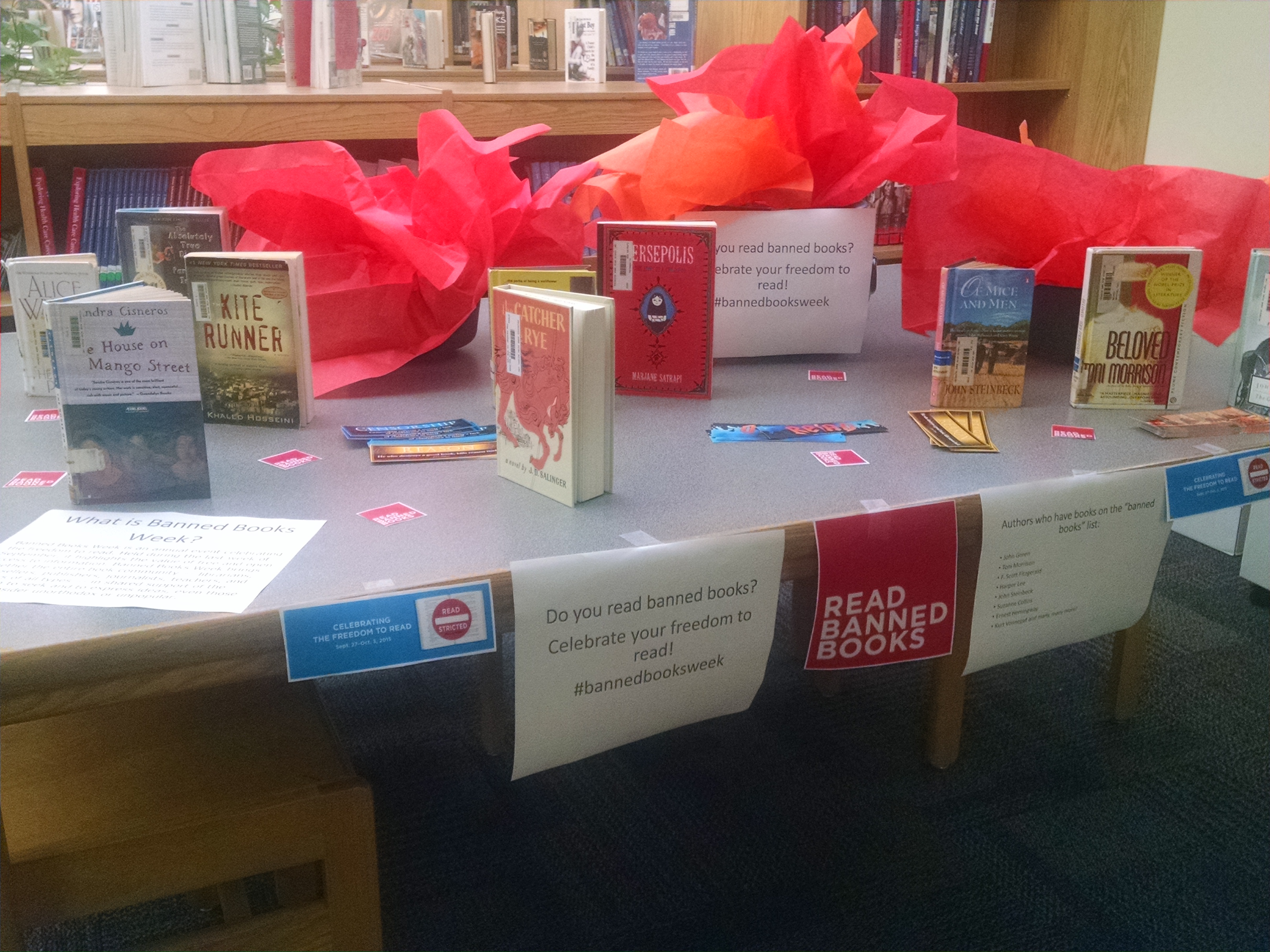 Banned Book Display