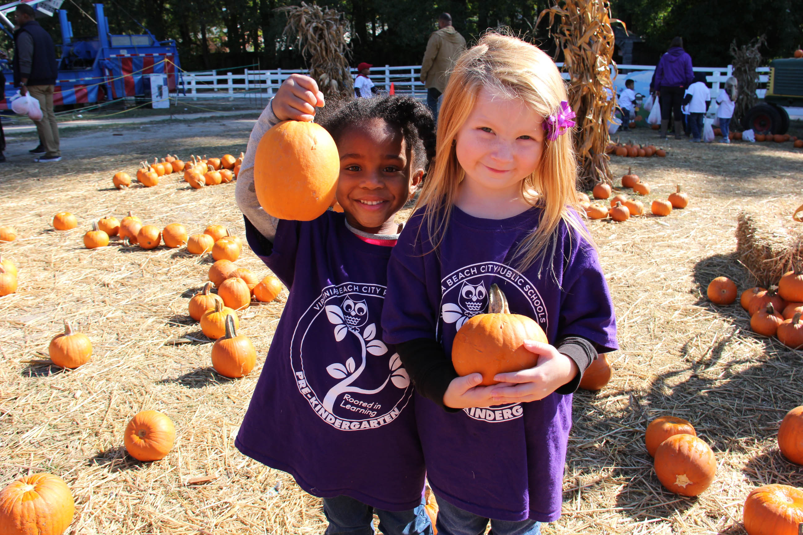 picture-9-pumpkins