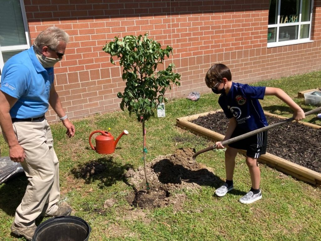 Dominion Tree Dominion Energy teams up with students and teachers on Arbor Day – The Core